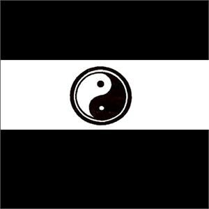 Asian Zing Dozen White Yin Yang Headbands