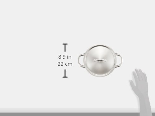 Fissler Family Line, 20cm Single Pan, Argento