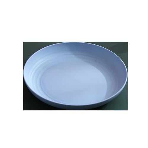 プレート プラスチック 丸皿 食器セット 電子レンジ加熱可能 食洗機対応 おしゃれ ランチプレート ケーキプレート デザートプレート サラダプレート (5個,青)
