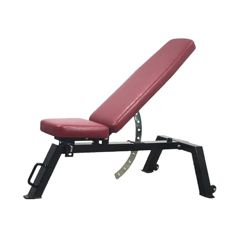Silla de pesas/mancuernas plegable, banco de entrenamiento multiusos, equipo de ejercicios abdominales, respaldo ajustable de 9 niveles.