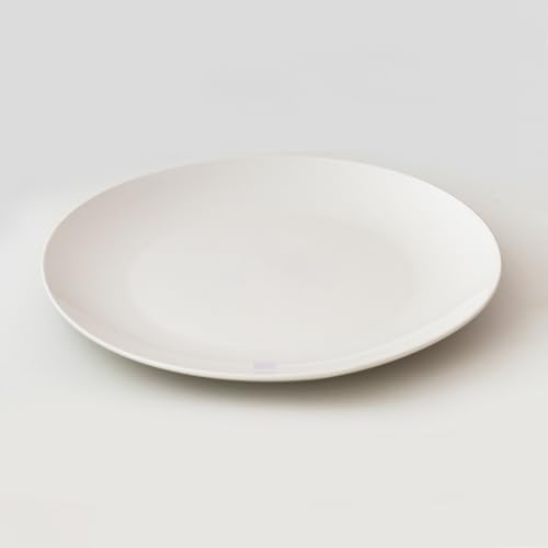 Recopilación de De platos de loza comprados en linea. 14 Imagen adicional