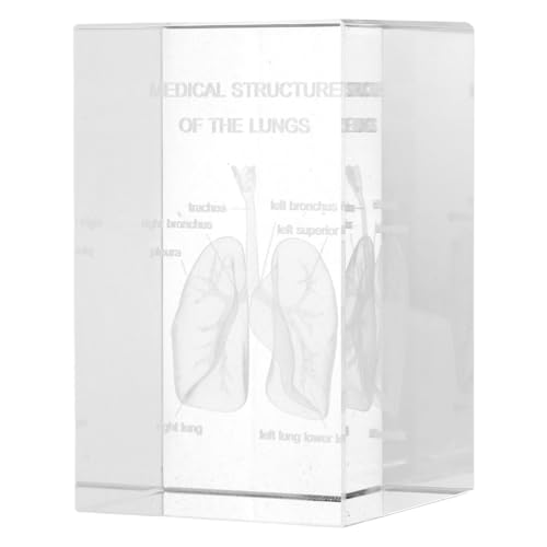 Modele anatomique 3D cube cristal pour reviser medecine sans s'ennuyer