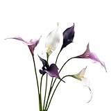 Flores artificiales de lirio de cala, flores de látex de tacto real, flores artificiales de tallo largo para bricolaje, ramo de boda, fiesta, hogar, centros de mesa (6, blanco morado)