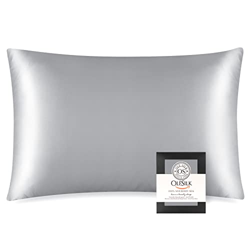 OLESILK 100% Mulberry Silk Toddler Pillowcase for Hair and Skin, Both Sides 19 Momme Pure Natural Silk Travel Pillow Cases with Hidden Zipper, 13