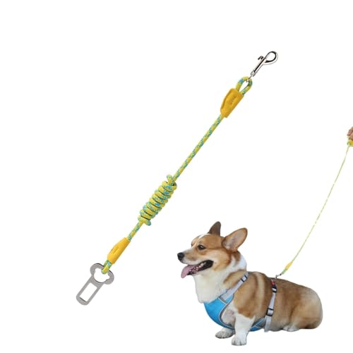 ԗppV[gxgn[lX,pԗpn[lX - O\ȌpV[gxg | Ԃ̃wbhXgpybgV[gxg pϋvAeJ[n[lX