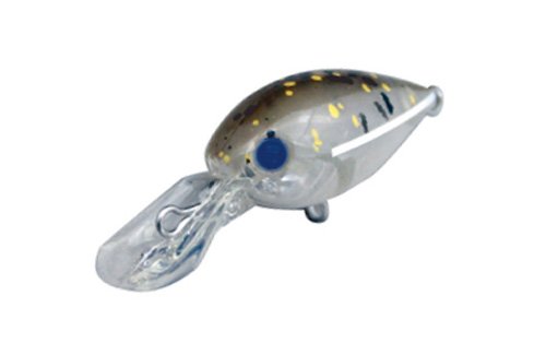 �f�B�X�v���E�g(DAYSPROUT) ���A�[ �`���^�N��DR-HW C-5 ���W�F���[�g.