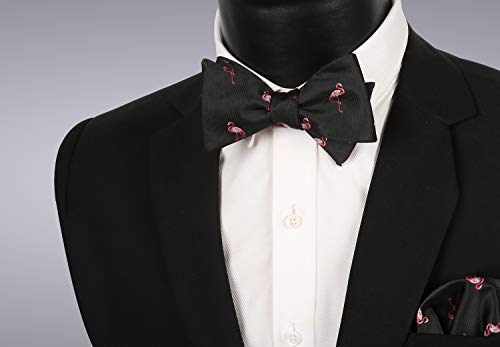 Image of Alizeal Mens 2pcs Solid Self-tied Bow Tie Set
