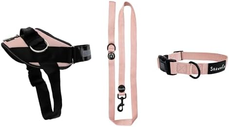 ShawnCo Essential Harness, Leash & Collar Set (Rose Gold, M)