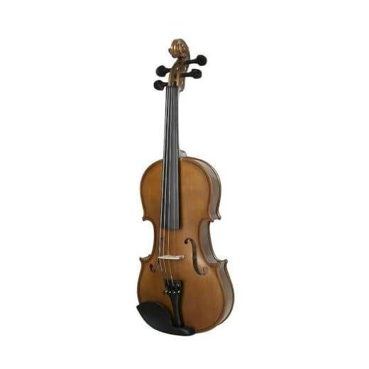 1. Violino 1/2 Estudante DOM9648 – Dominante