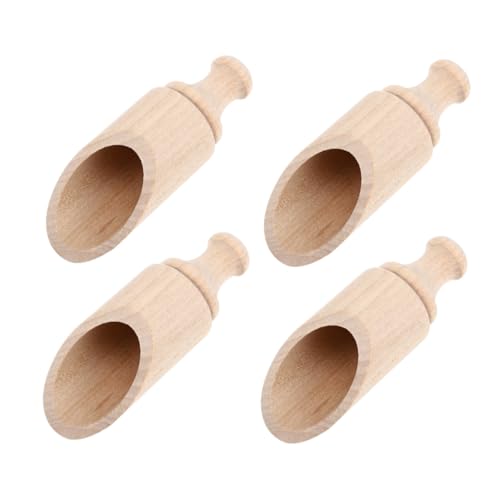 Wooden Salt and Condiment Spoons (4-Pack)