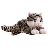 Taille portable parfaite : Mesurant 38 cm, ce chat en peluche a la taille idéale pour être câliné, transporté et exposé. Il convient aussi bien aux jeux des enfants qu'à la décoration de la maison.