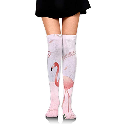 Preisvergleich Produktbild not applicable Kniehohe Röhrensocken für Mädchen Frauen süße Flamingo In einem Bilderrahmen Drucke über Oberschenkel hohe lange Strümpfe
