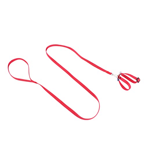 BESPORTBLE Pet Supplies 1pc Pet Pulling Rope for Birds Hamsters Turtles Lizards 8-Shape Lock for Safety