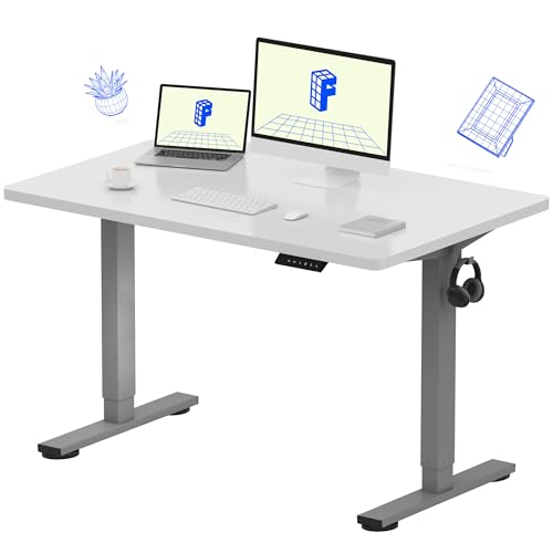 FLEXISPOT EN1 Whole-Piece Standing Desk 48 x 30 Inches Electric Height Adjustable Desks for Home Office Stand Up Desk (Silver Frame + 48 in White Top, 2 Packages)