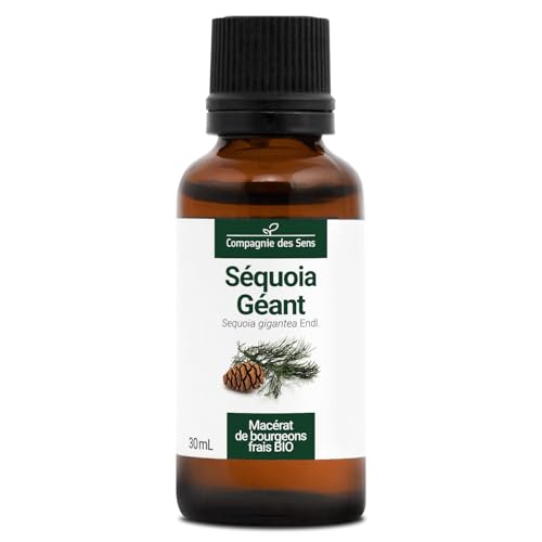 Séquoia Géant BIO - 30mL - (Sequoia Giganteum) – Macérat concentré de bourgeons frais