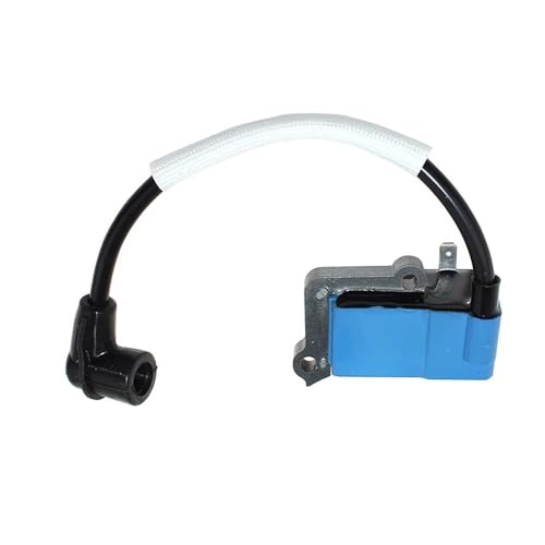 Bobine d'allumage 583916701 résout le démarrage difficile du BB2280