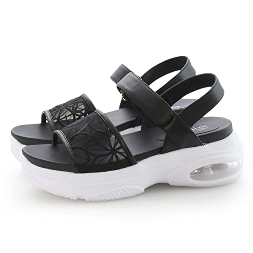 [[iC] ԕ `[ GA\[ X|[cT_ fB[X  ₷ (kk-1376) ubNzCg STCY