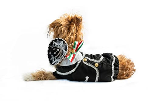 Mariachi Mexican Pet Dog Costume w/Sombrero Charro for Cindo de Mayo or Fiesta Decorations (Small)