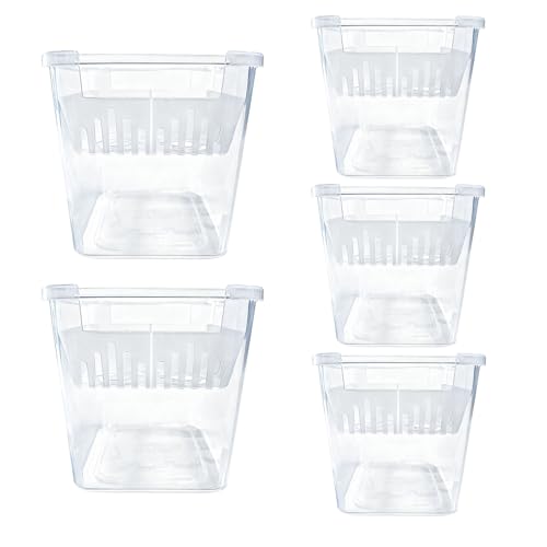 Shouxiut Maceta de agua | Jarrón de jardinería de propagación transparente | Maceta de 4 pulgadas con agujeros de drenaje, para balcón, jardín, ventana, dormitorio, cocina, lugar de trabajo interior