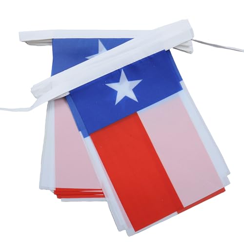 Image of AZ FLAG Texas 6 meters BUNTING Flag 20 flags 9'' x 6'' - Texan US state STRING flags 15 x 21 cm