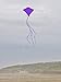 In the Breeze 2993 — Purple Diamond Kite, 30-inch, Easy-Flying Kite for Kids, Teens, Adults