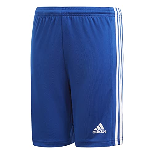adidas Garçon Squadra 21 Shorts, Royal Blue / White, 11-12 Years