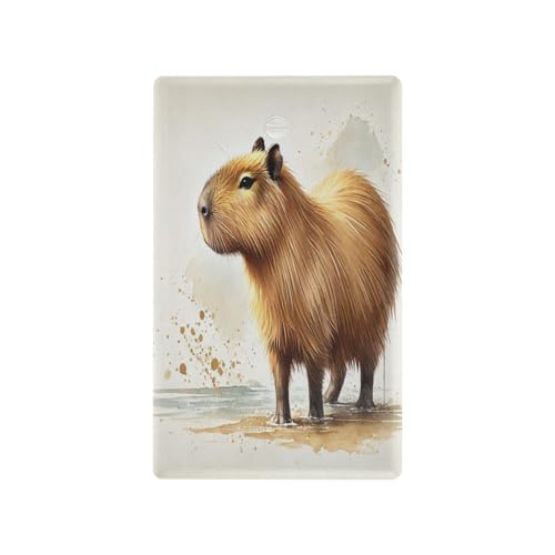 Capybara Colorful Light Switch Cover Decorative Receptacle Outlet Wall Plate Guard Plastic Outlet Covers for Home Decor Room Office Bathroom (Unused Outlet Cover)