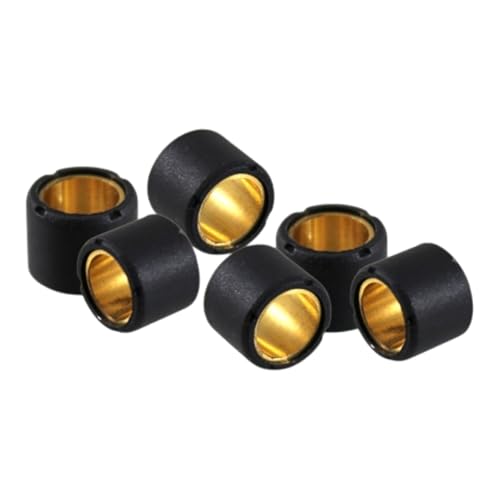 cyclingcolors 6x Rodillos de variador 16x13 mm 6,2 gr Scooter Maxiscooter Rodillos Variador Transmisión Motor