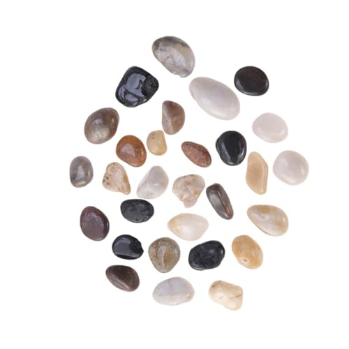 ifundom VRꋛ^NXg[ ̊炩Ŗꂽ͐ ppR W CANAĚiϗp