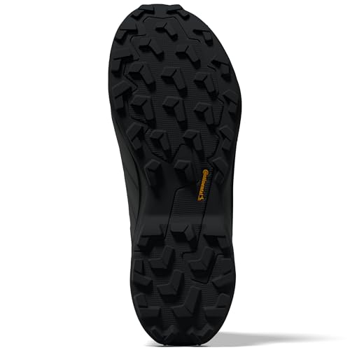 adidas Men's Terrex Skychaser Ax5 Mid Top Gore-tex Climawarm+ Hiking Shoe2