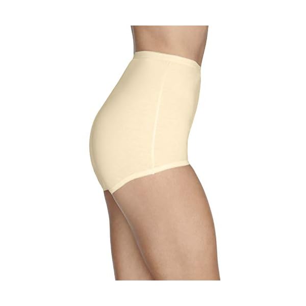 Vanity Fair womens Lollipop Plus Size Panties 3 Pack 15861 Briefs, Elastic Leg Opening - Candleglow (3 Pack), 10 US