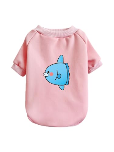  킢 }{E ybg hbOEFA ̕ L ybgEFA h _炩 іh~   t@bV U ybgpi