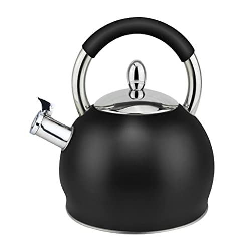 ���킢���X�e�����X�|�̃e�B�[�|�b�g3.0L��e�ʂ̓J�̂₩��K�X�̔�(C)