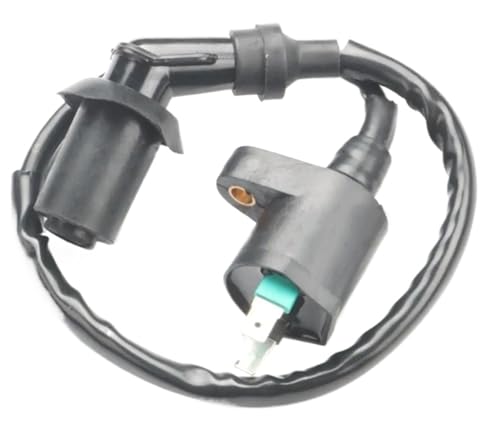 Bobina de encendido de 2 pines para mantenimiento de scooter ShadowSA y Vision