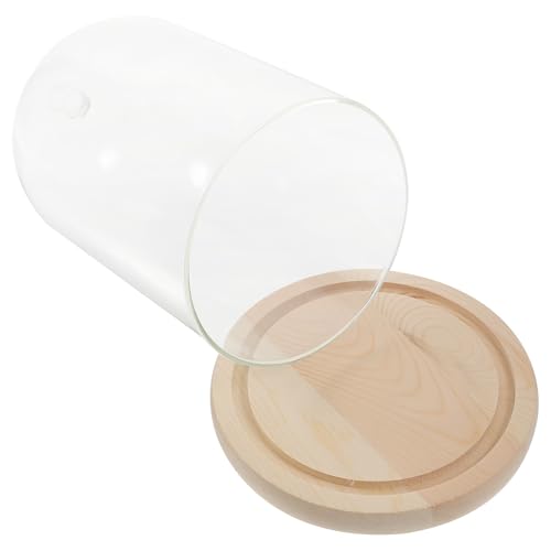 Cúpula de vidrio para centros de mesa con base de madera Happyyami transparente 2