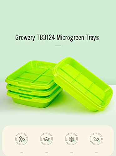 Image of Tb3124 Microgreen Trays (2 Sets) By Grewery Farm Llp | Made Of Virgin Pp Material With Perforated Top Green Tray And Solid Green Color Bottom Tray (2)
