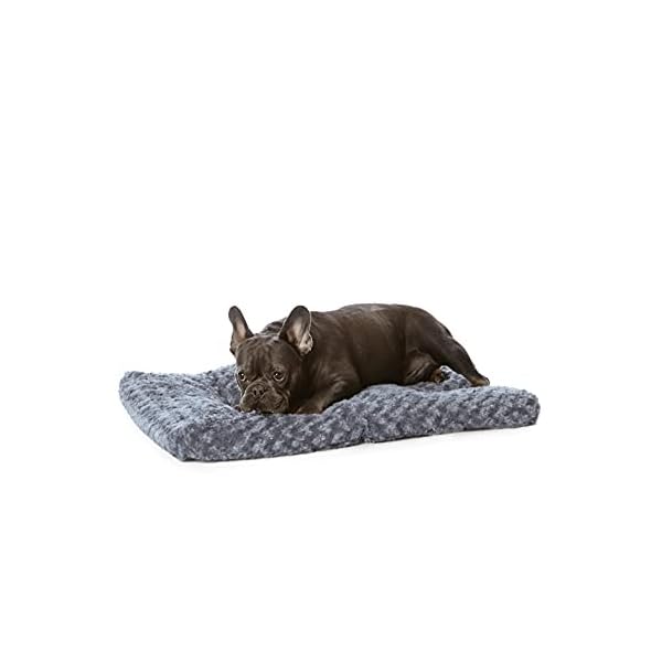 Amazon-Basics-Plush-Pet-Bed-and-Dog-Crate-Pad-Small-29-x-21-x-3-Inches-Gray-Swirl