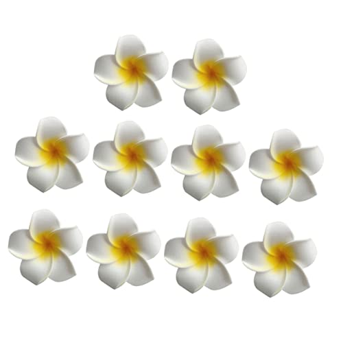 OSOLADY 10ԃwANbv  q GbOt[ wAs r[`AEp[eB[p  ȑf