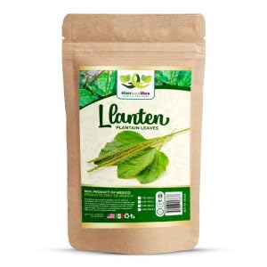 Llanten Hierba Te 4 oz.-3.99 oz Té de hojas de plátano 4 oz.-3.99 oz Hierba Natural Mexicana Hierba Producto Artesanal de México Hierbasmx