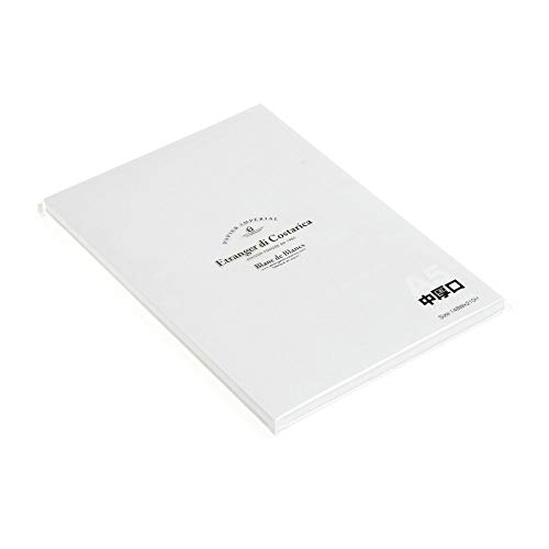 エトランジェ・ディ・コスタリカ ペーパー 100枚入り 2冊セット BdeB A5 ナチュラル 0001-BPR80-A5-02