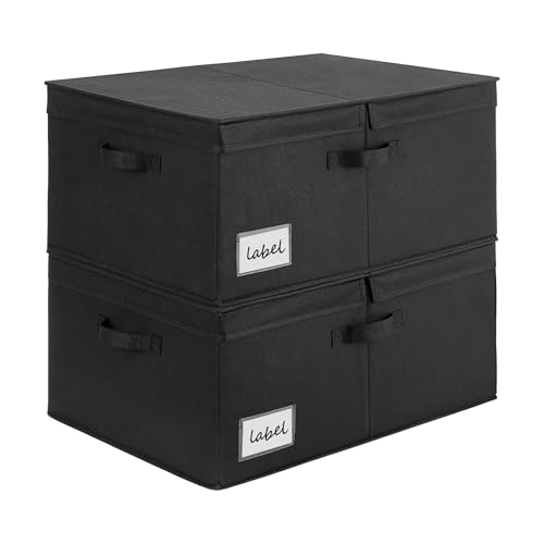 GRANNY SAYS Extra Large Storage Bins with Double-Open Lid, Closet Storage Boxes with Label, 63L Stackable Storage Organizer, Shelves Basket, Black, 2-Pack