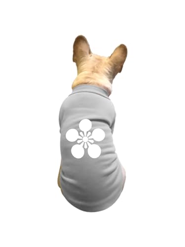 ���� ����~�� �O�c���Ɩ� �y�b�g�� T�V���c �H�~ �g���[�i�[ �L�� �h�� �g���� �J�W���A�� ������� ������ ���[���E�F�A ���� �E�ѕی� ���o���� �U�� S