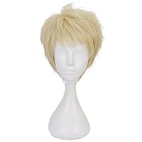 Amazon.co.jp: 菅原孝支 コスプレ ウィッグ すがわら こうし
