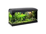 Acuario Milo 80, negro, con mueble de soporte