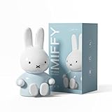 Miffy Portable Bluetooth Speakers, Cute Portable Wireless Speakers with Loud Stereo Sound, Built-in Mic, TF-Card Slot, Dual Pairing,40H Playtime for Room, Desk Decor, for her (Lite-Blue)