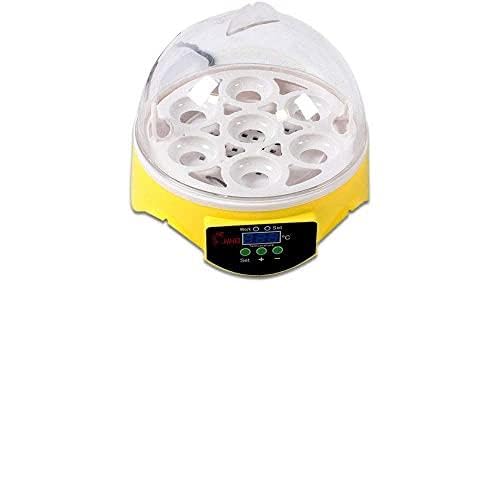 Incubateur 7 oeufs automatique de poulet et canard avec couveuse visible