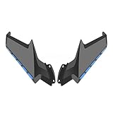 Leistung: Stabile Leistung, hohe Zuverlässigkeit, stilvolles Design. Motorrad-Winglets sind