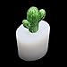 WT-DDJJK Suministros de jardinería, Molde de Silicona Duradero para macetas de Cactus,...