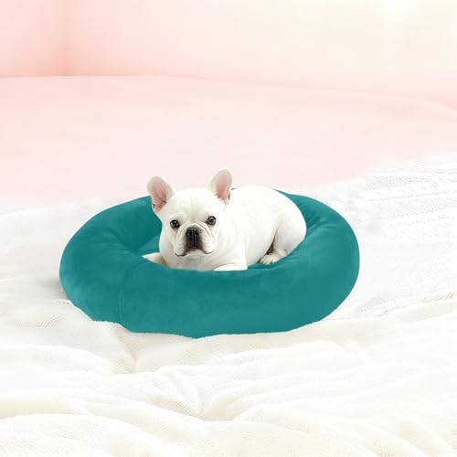 Panier d'hiver lavable bleu sarcelle taille S pour petit chien - 3