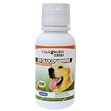 LIQUIDHEALTH 8 Oz K9 Liquid Glucosamine for Dogs, Puppies and Senior Canines - Chondroitin, MSM, Hyaluronic Acid – Joint Health, Dog Vitamins Hip Joint Juice, Dog Joint Oil